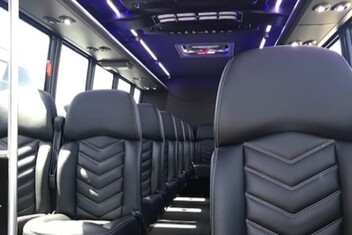 Newton Minibus Interior