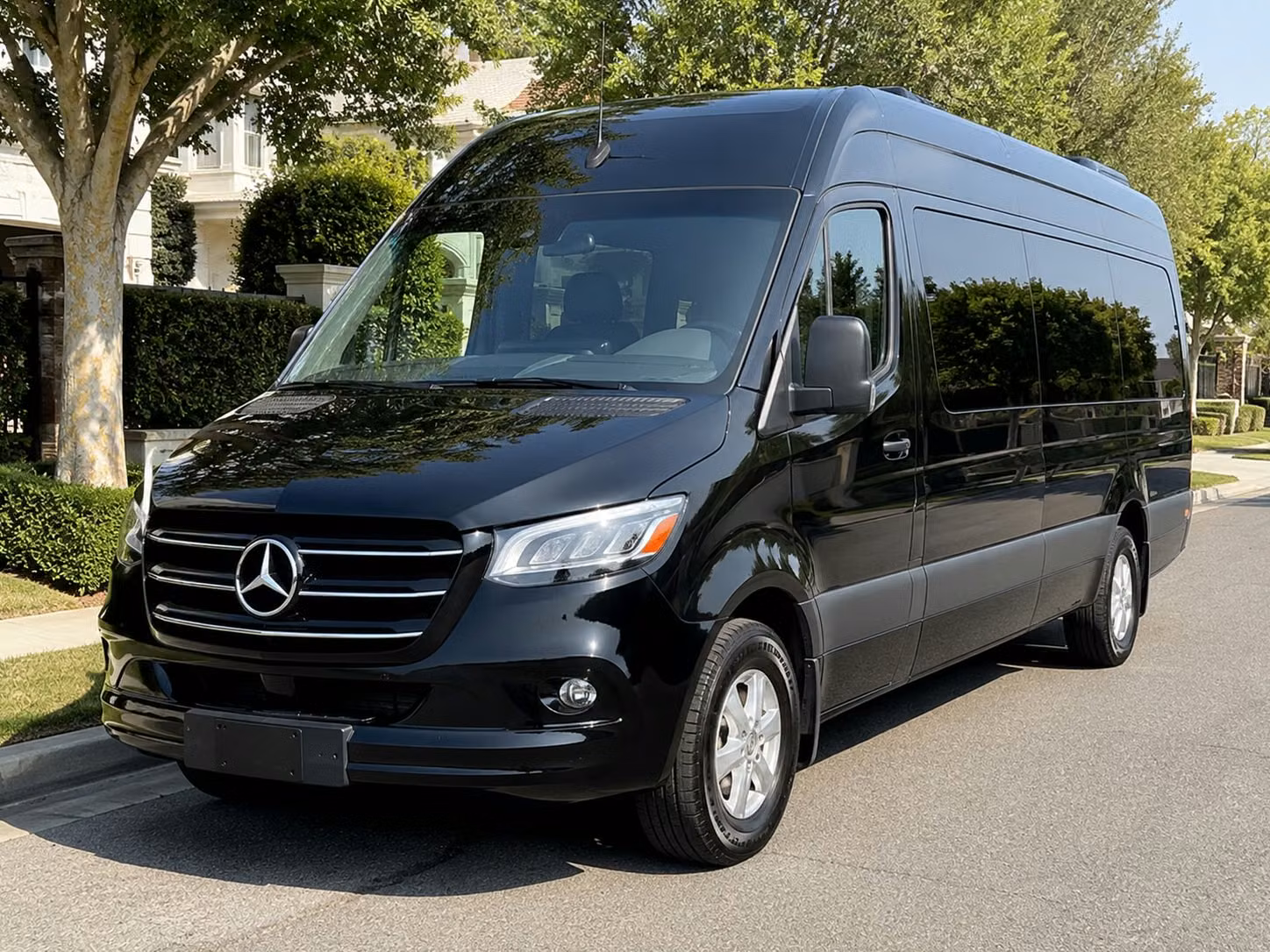 newton sprinter limo rental